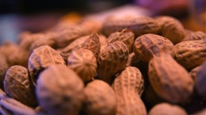  Homeopathic Remedies for Peanut Allergy